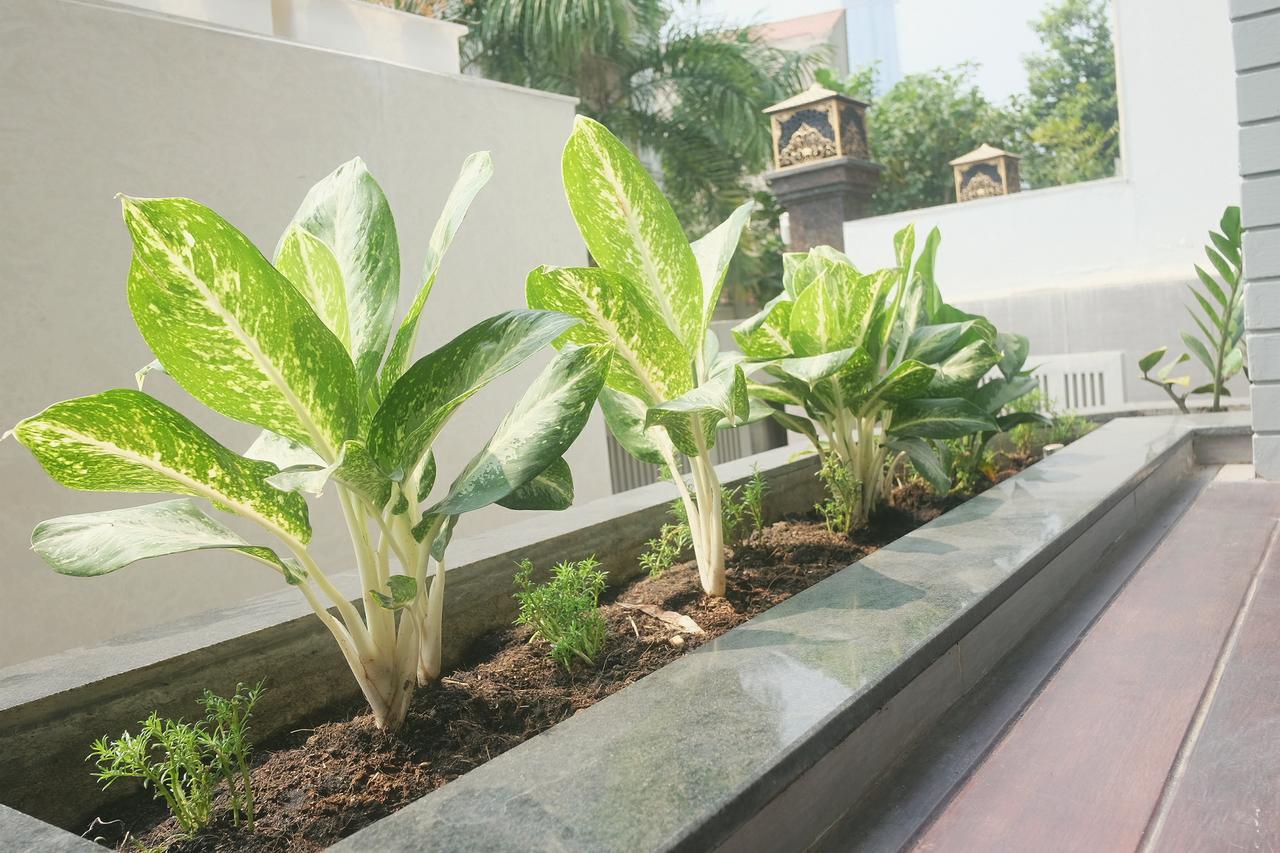 Greenwood Villa Saigon Cidade de Ho Chi Minh Exterior foto