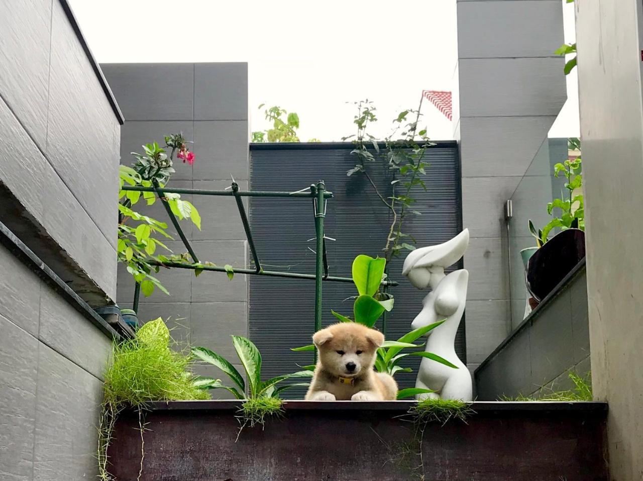 Greenwood Villa Saigon Cidade de Ho Chi Minh Exterior foto